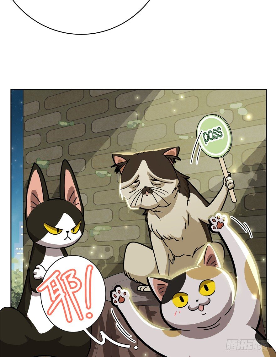 《回到过去变成猫外传》第30爪 番外 黑炭称王 第13页