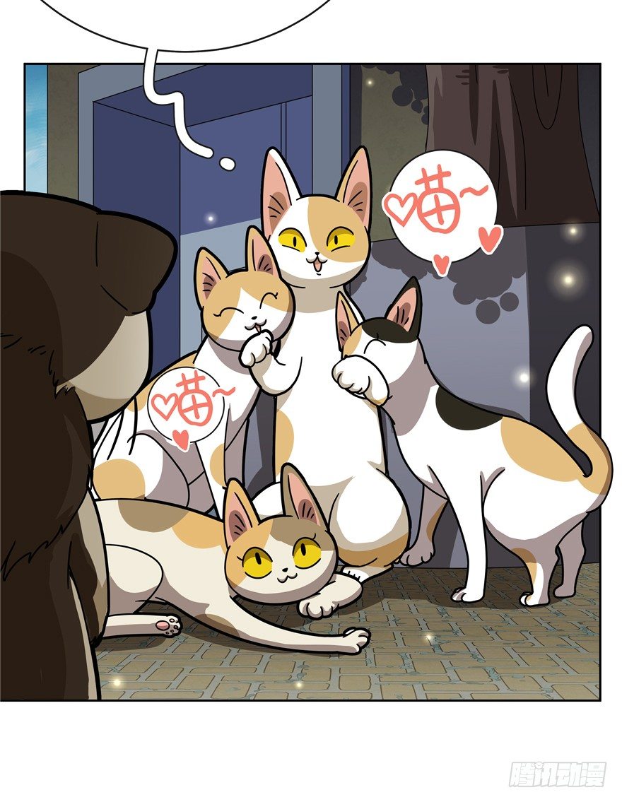 《回到过去变成猫外传》第30爪 番外 黑炭称王 第15页