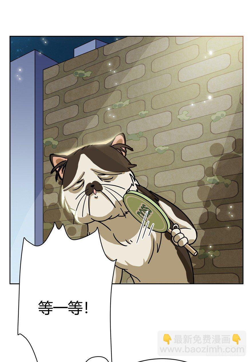 《回到过去变成猫外传》第30爪 番外 黑炭称王 第16页