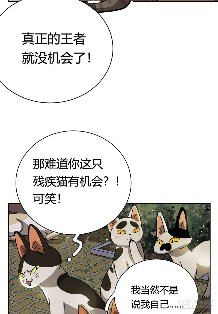 《回到过去变成猫外传》第30爪 番外 黑炭称王 第18页