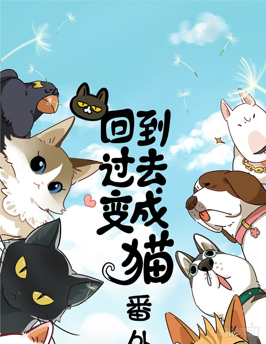 《回到过去变成猫外传》第30爪 番外 黑炭称王 第1页