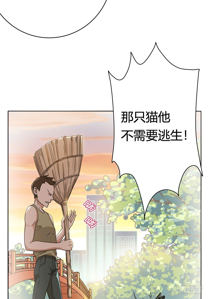 《回到过去变成猫外传》第30爪 番外 黑炭称王 第22页