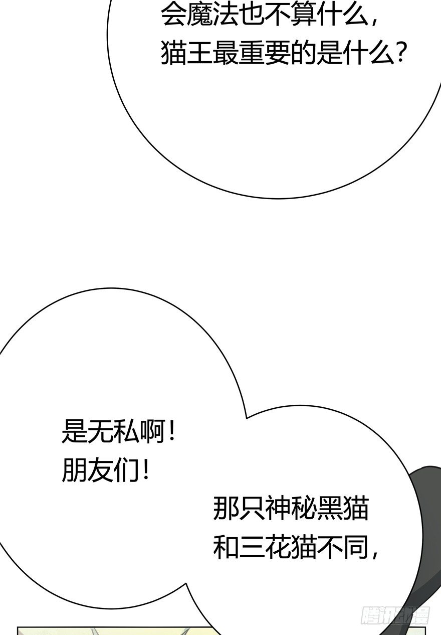 《回到过去变成猫外传》第30爪 番外 黑炭称王 第28页