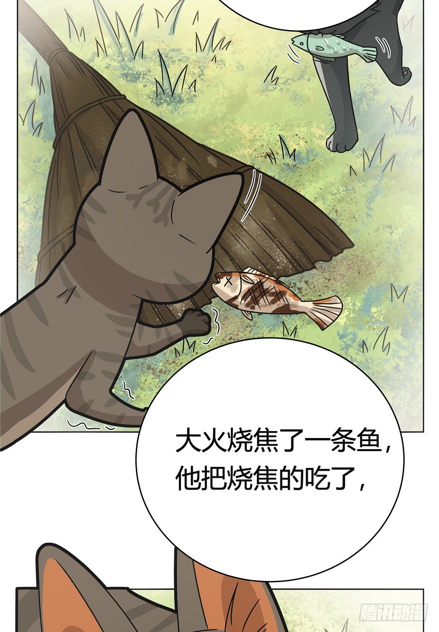 《回到过去变成猫外传》第30爪 番外 黑炭称王 第29页