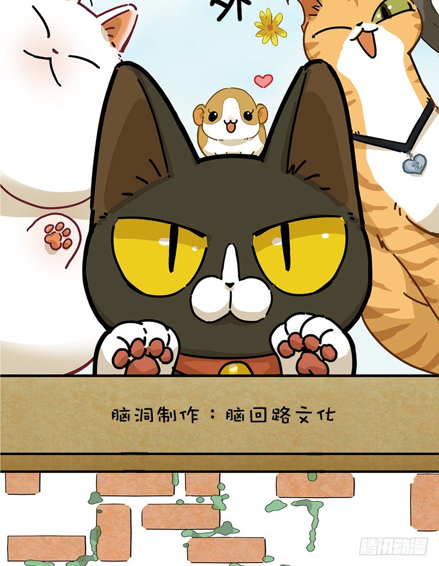 《回到过去变成猫外传》第30爪 番外 黑炭称王 第2页