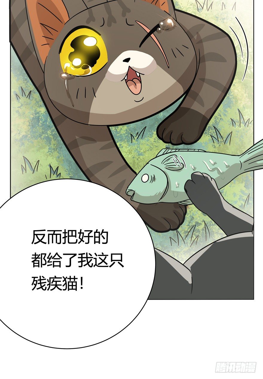 《回到过去变成猫外传》第30爪 番外 黑炭称王 第30页