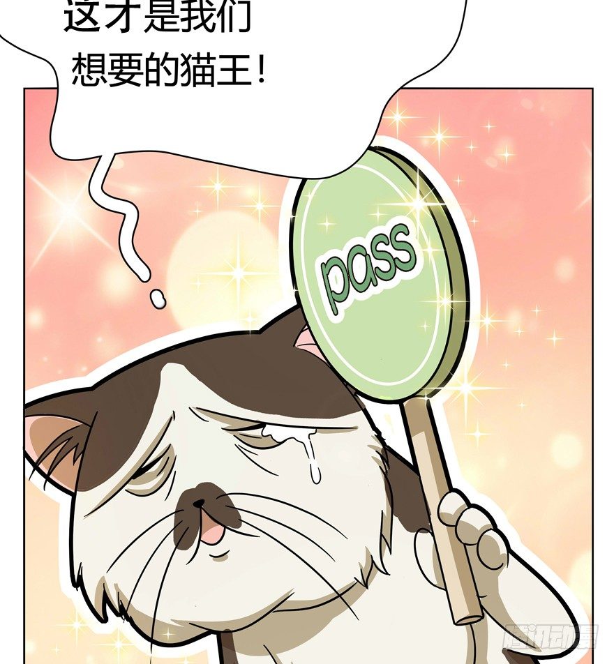 《回到过去变成猫外传》第30爪 番外 黑炭称王 第33页