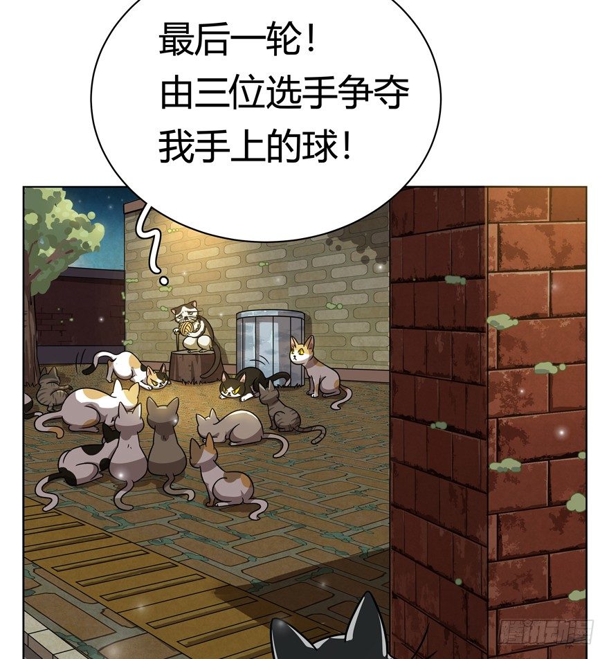 《回到过去变成猫外传》第30爪 番外 黑炭称王 第35页