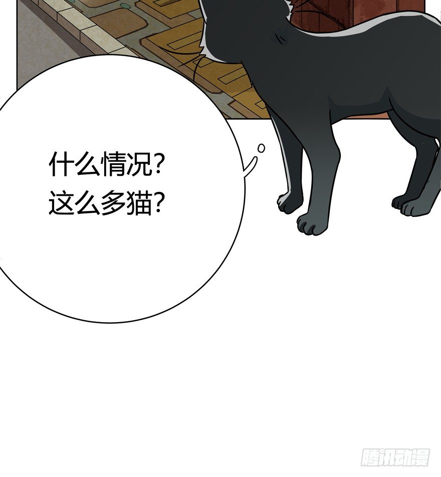《回到过去变成猫外传》第30爪 番外 黑炭称王 第36页
