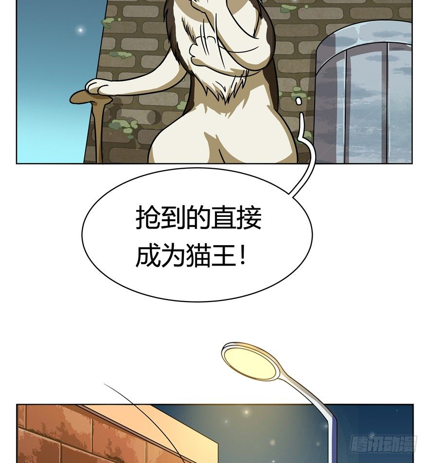 《回到过去变成猫外传》第30爪 番外 黑炭称王 第38页