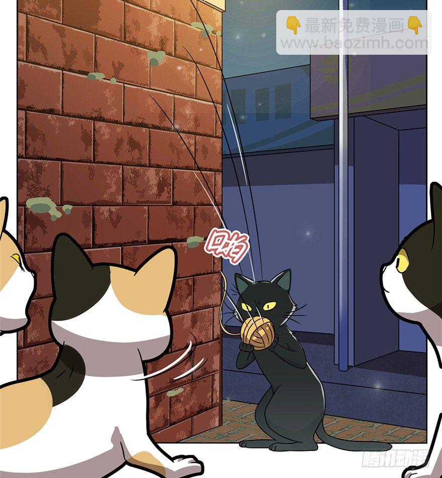 《回到过去变成猫外传》第30爪 番外 黑炭称王 第39页