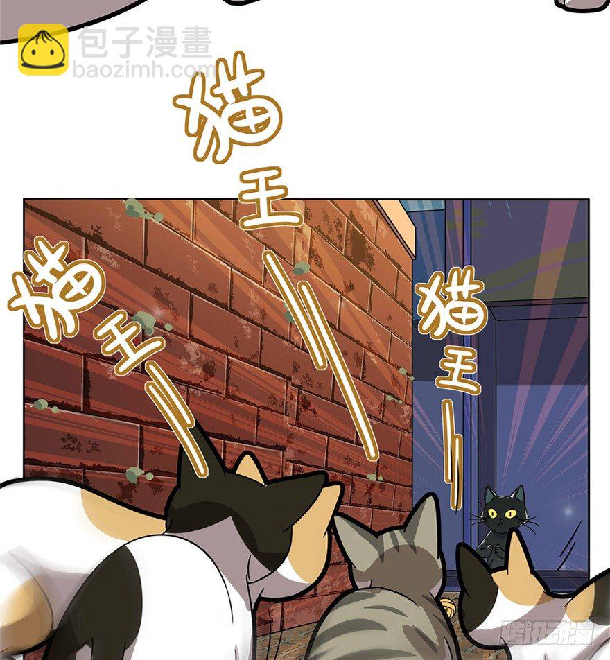 《回到过去变成猫外传》第30爪 番外 黑炭称王 第40页