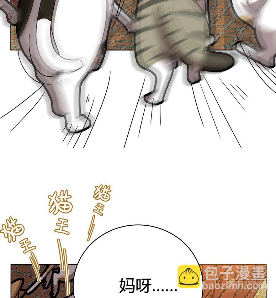 《回到过去变成猫外传》第30爪 番外 黑炭称王 第41页