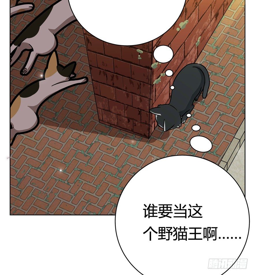《回到过去变成猫外传》第30爪 番外 黑炭称王 第42页