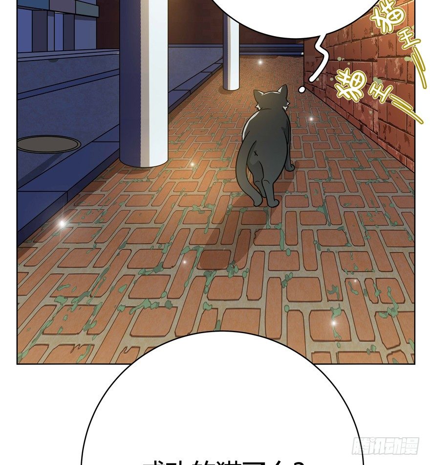 《回到过去变成猫外传》第30爪 番外 黑炭称王 第44页