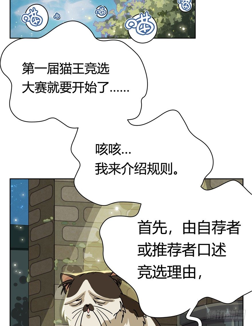 《回到过去变成猫外传》第30爪 番外 黑炭称王 第4页