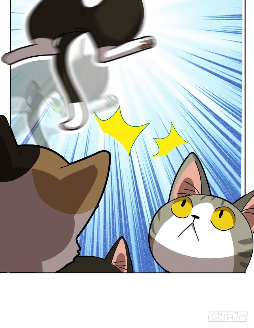 《回到过去变成猫外传》第30爪 番外 黑炭称王 第7页