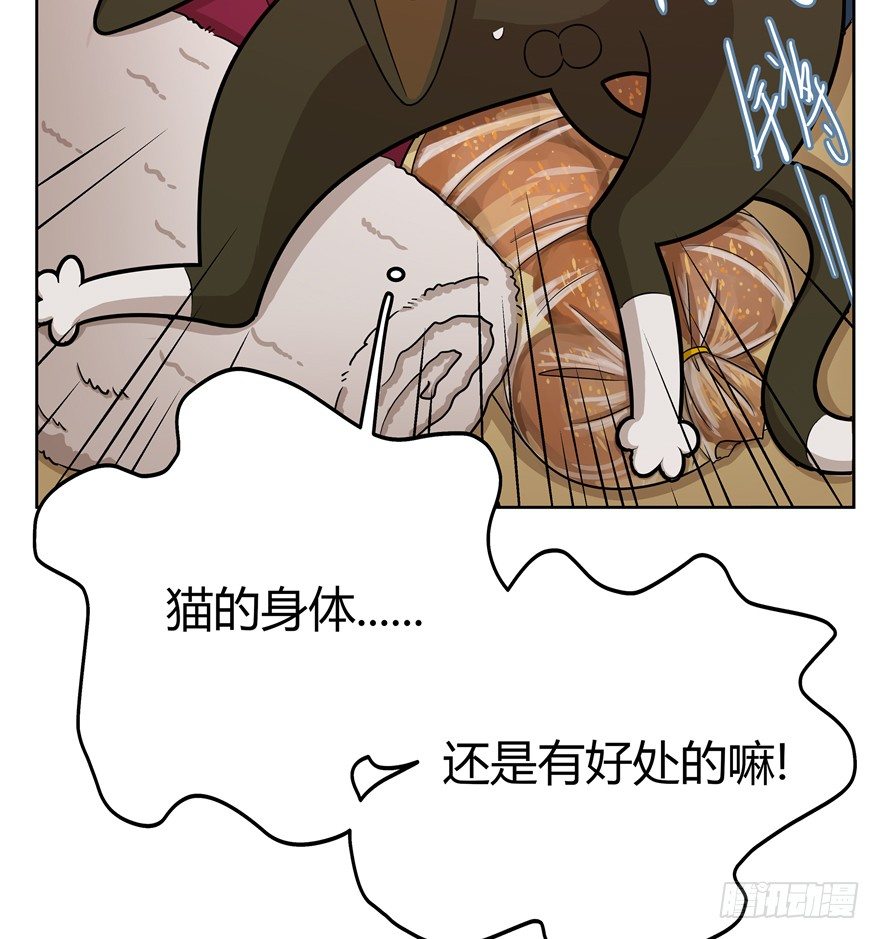《回到过去变成猫外传》第31爪 活学活用（上） 第24页