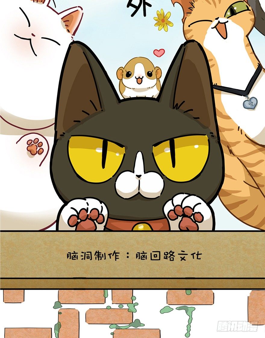 《回到过去变成猫外传》第31爪 活学活用（上） 第2页