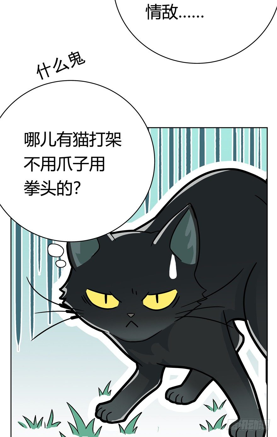 《回到过去变成猫外传》第36爪 身份被拆穿（上） 第12页