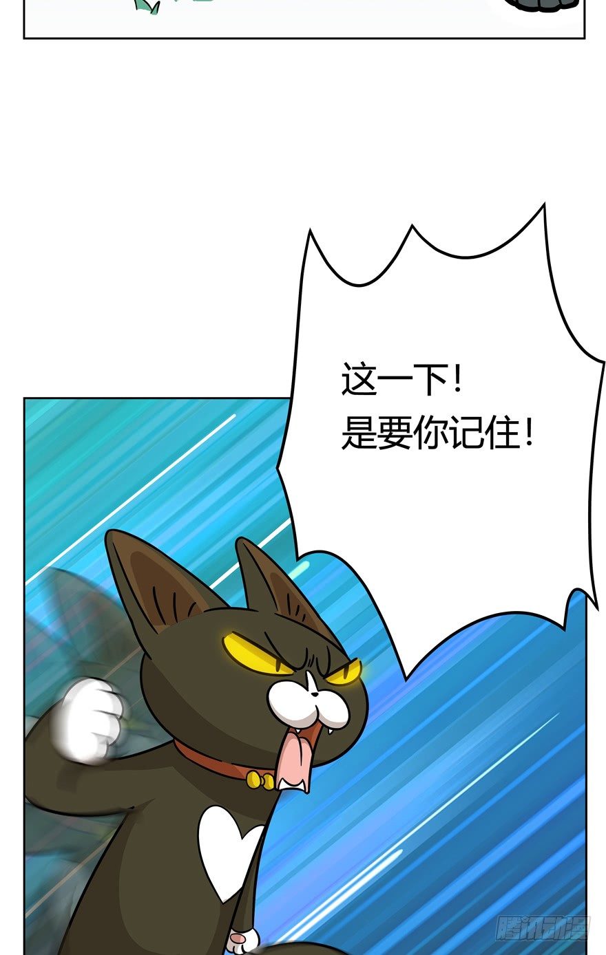 《回到过去变成猫外传》第36爪 身份被拆穿（上） 第13页