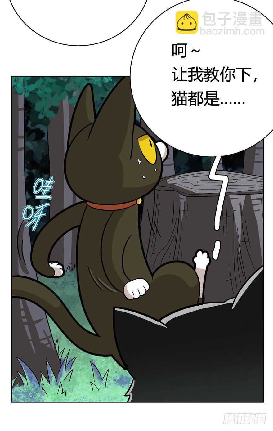 《回到过去变成猫外传》第36爪 身份被拆穿（上） 第17页