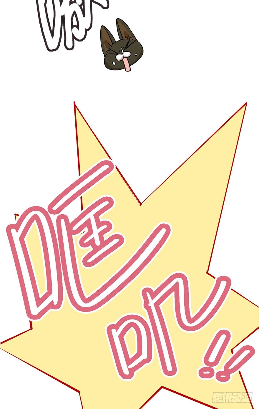 《回到过去变成猫外传》第36爪 身份被拆穿（上） 第19页