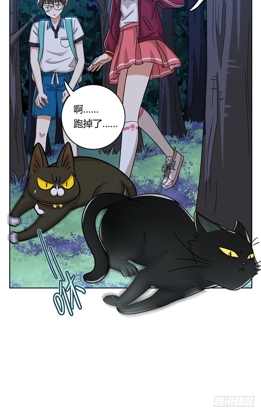 《回到过去变成猫外传》第36爪 身份被拆穿（上） 第6页