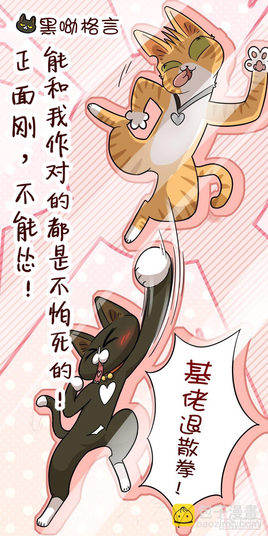《回到过去变成猫外传》第35爪 发起挑战（下） 第21页