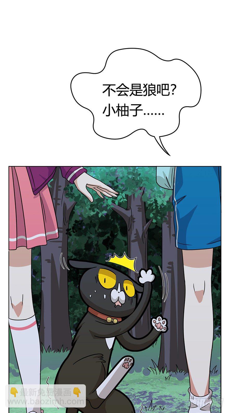 《回到过去变成猫外传》第35爪 发起挑战（下） 第3页
