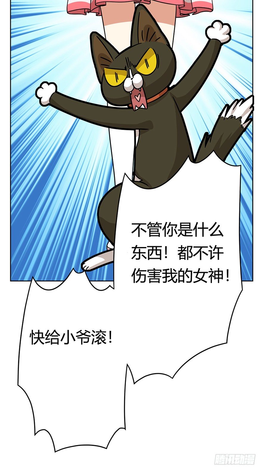 《回到过去变成猫外传》第35爪 发起挑战（下） 第8页