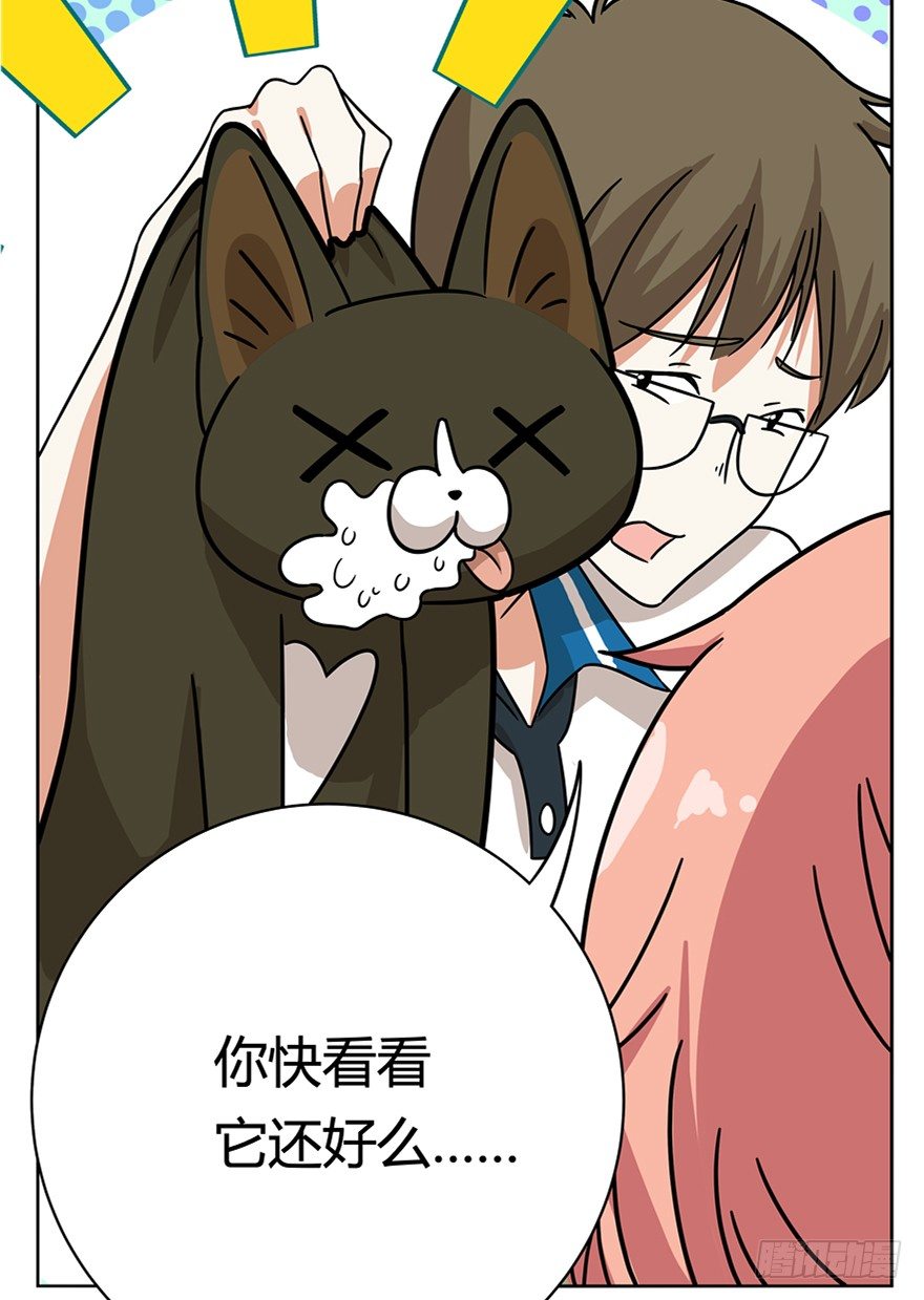 《回到过去变成猫外传》第33爪 火箭徽章 第14页