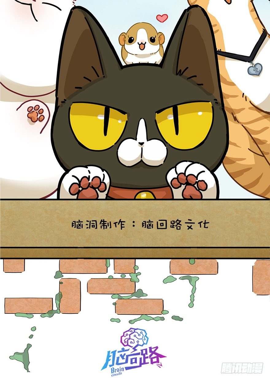 《回到过去变成猫外传》第33爪 火箭徽章 第2页