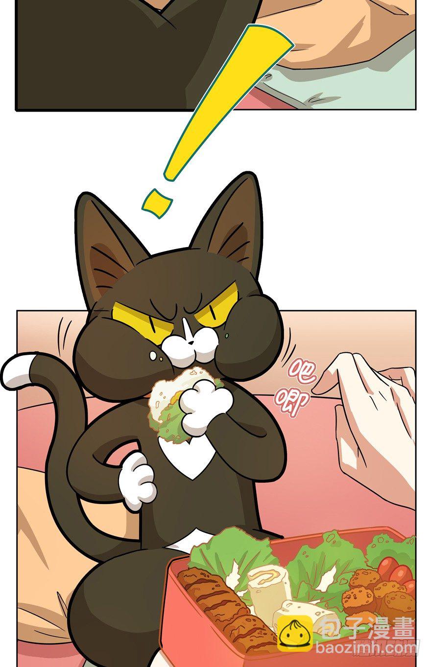 《回到过去变成猫外传》第33爪 火箭徽章 第31页