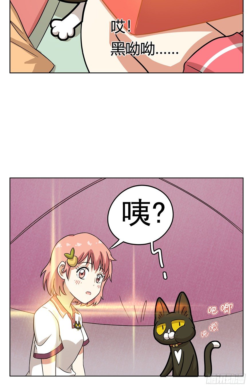 《回到过去变成猫外传》第33爪 火箭徽章 第32页