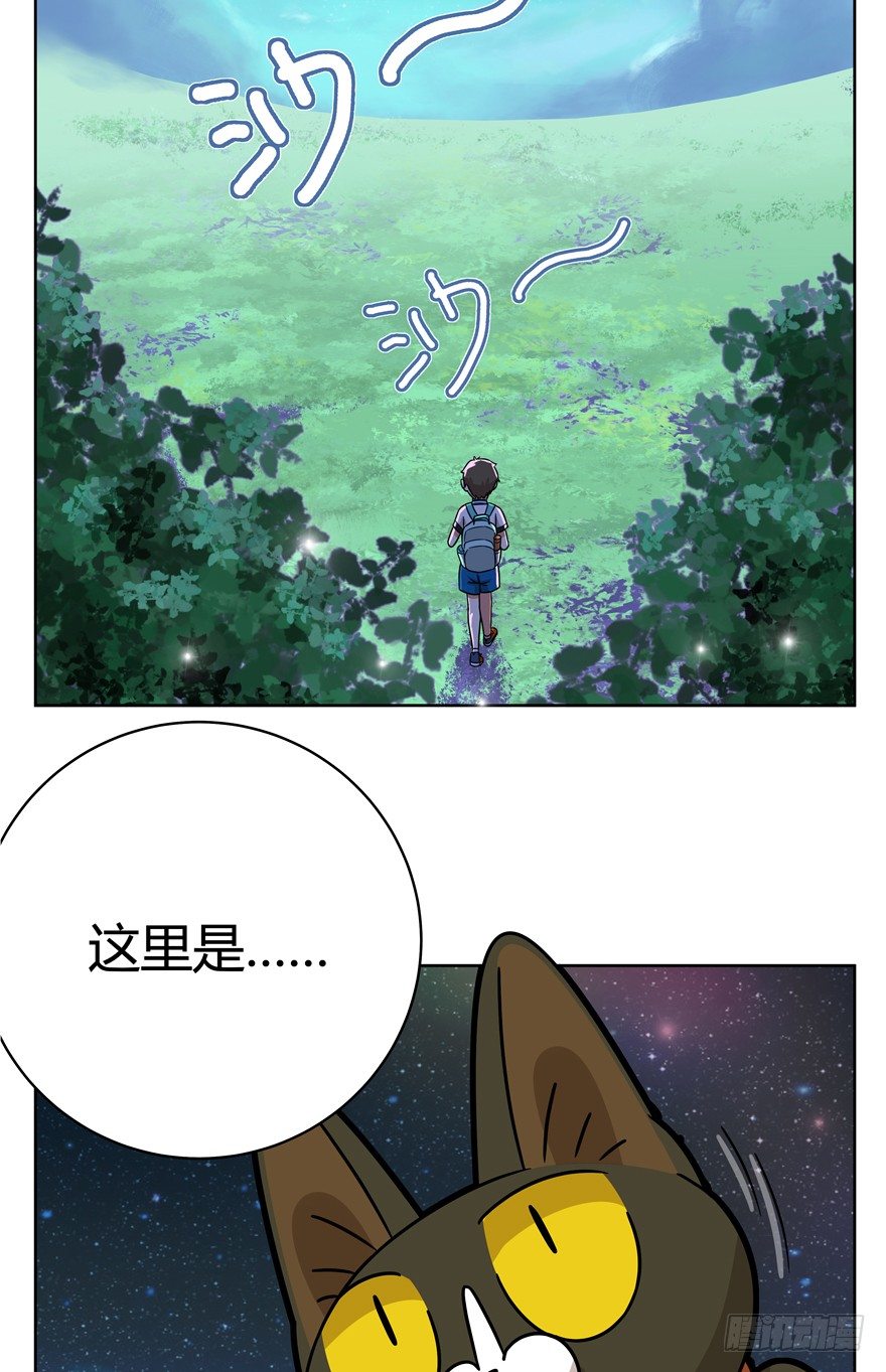 《回到过去变成猫外传》第33爪 火箭徽章 第37页