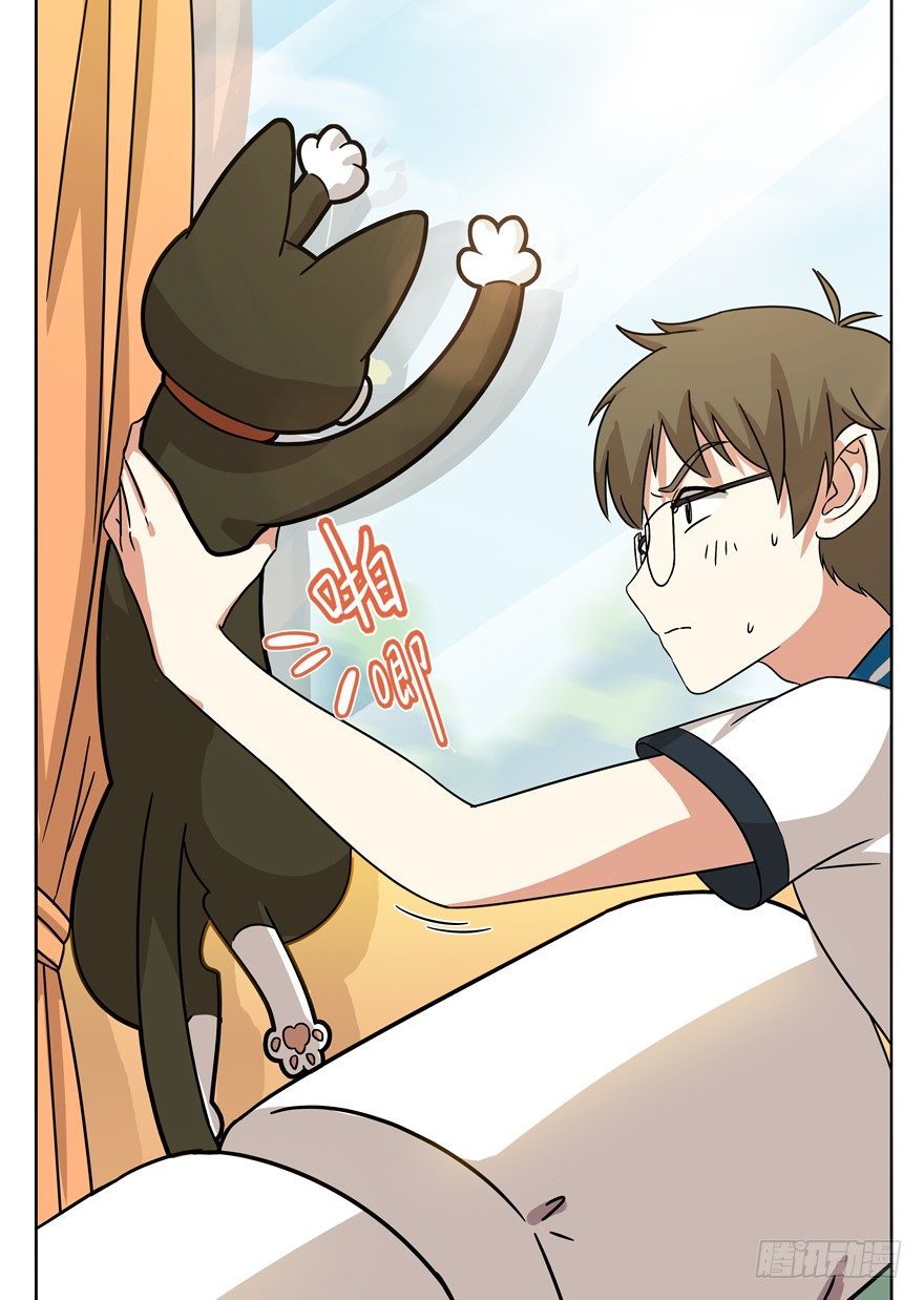 《回到过去变成猫外传》第33爪 火箭徽章 第5页