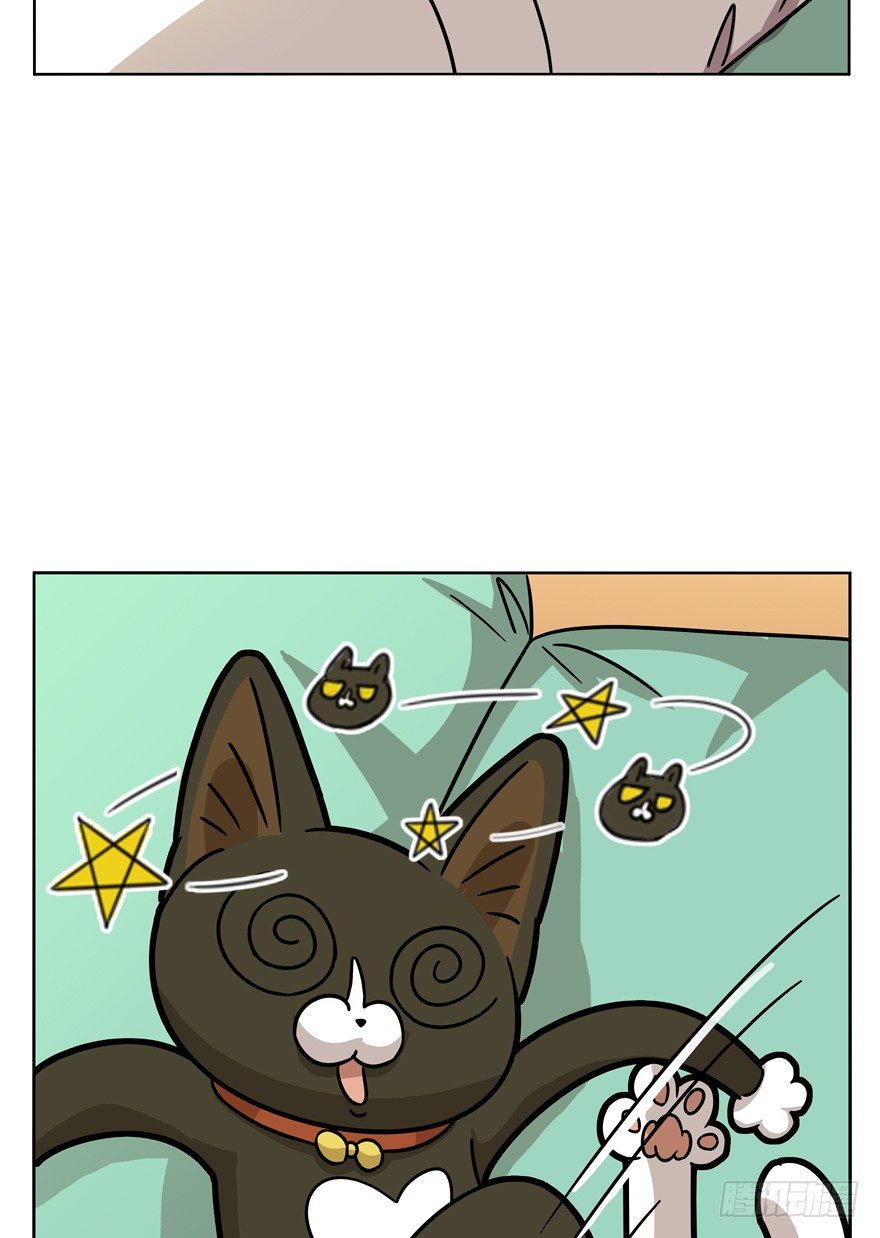 《回到过去变成猫外传》第33爪 火箭徽章 第6页