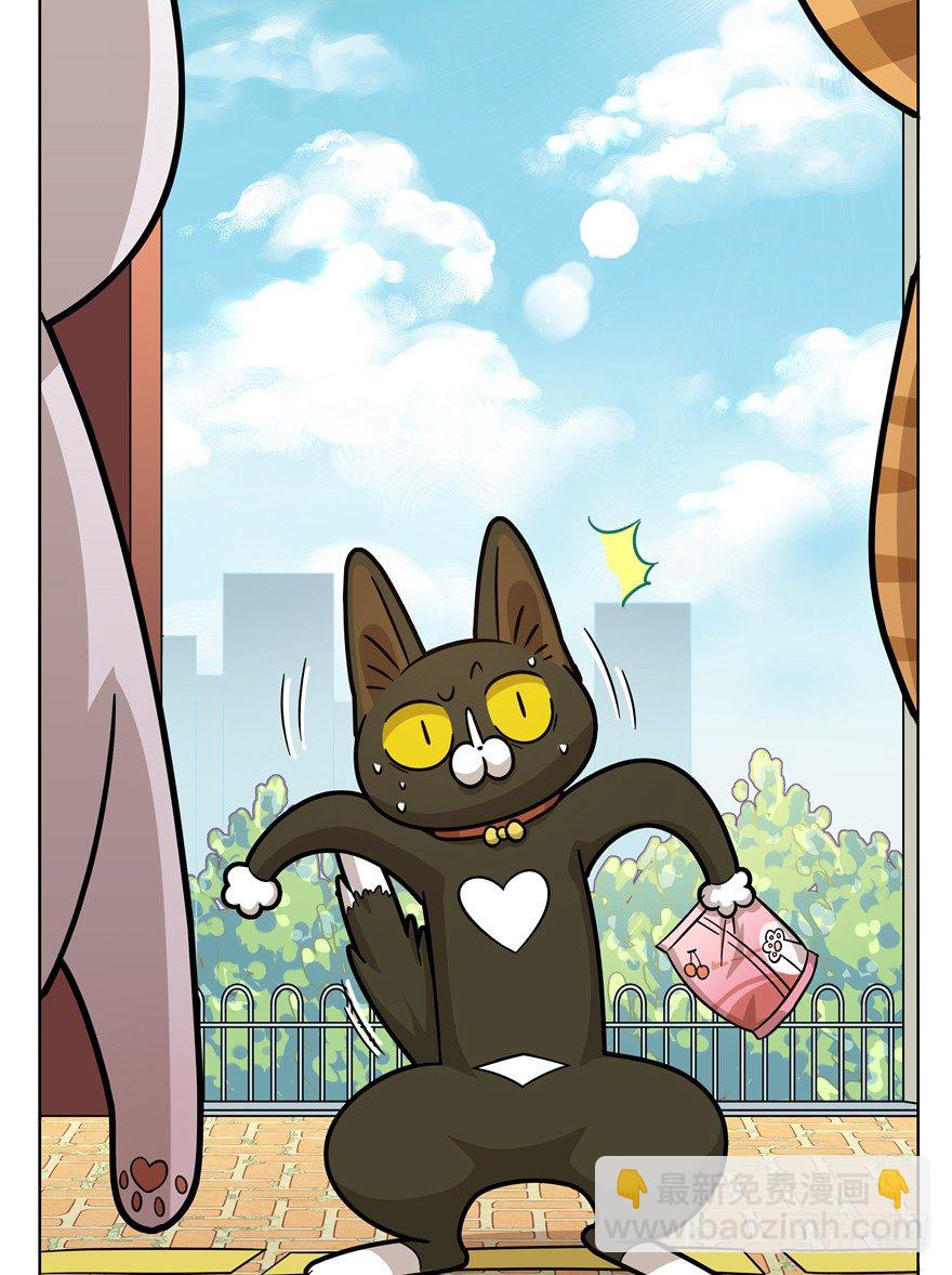 《回到过去变成猫外传》第40爪 外来户（上） 第10页