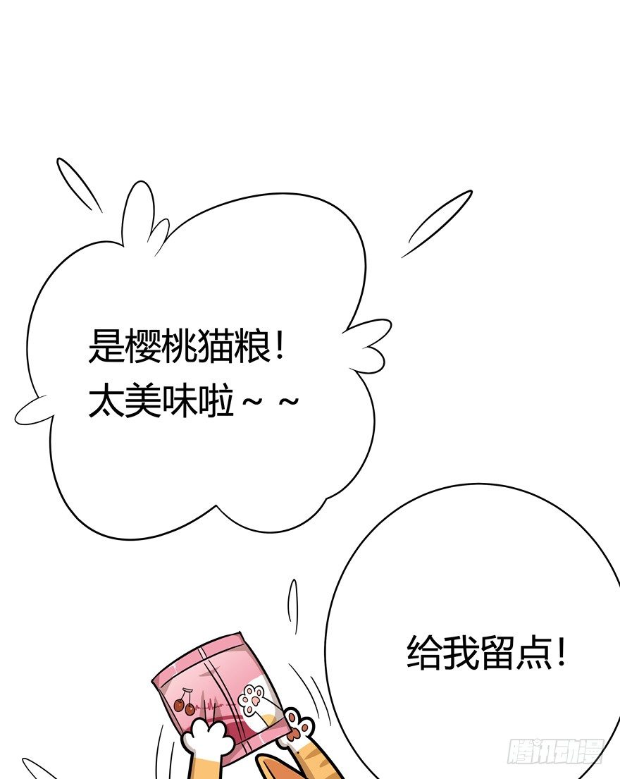 《回到过去变成猫外传》第40爪 外来户（上） 第16页