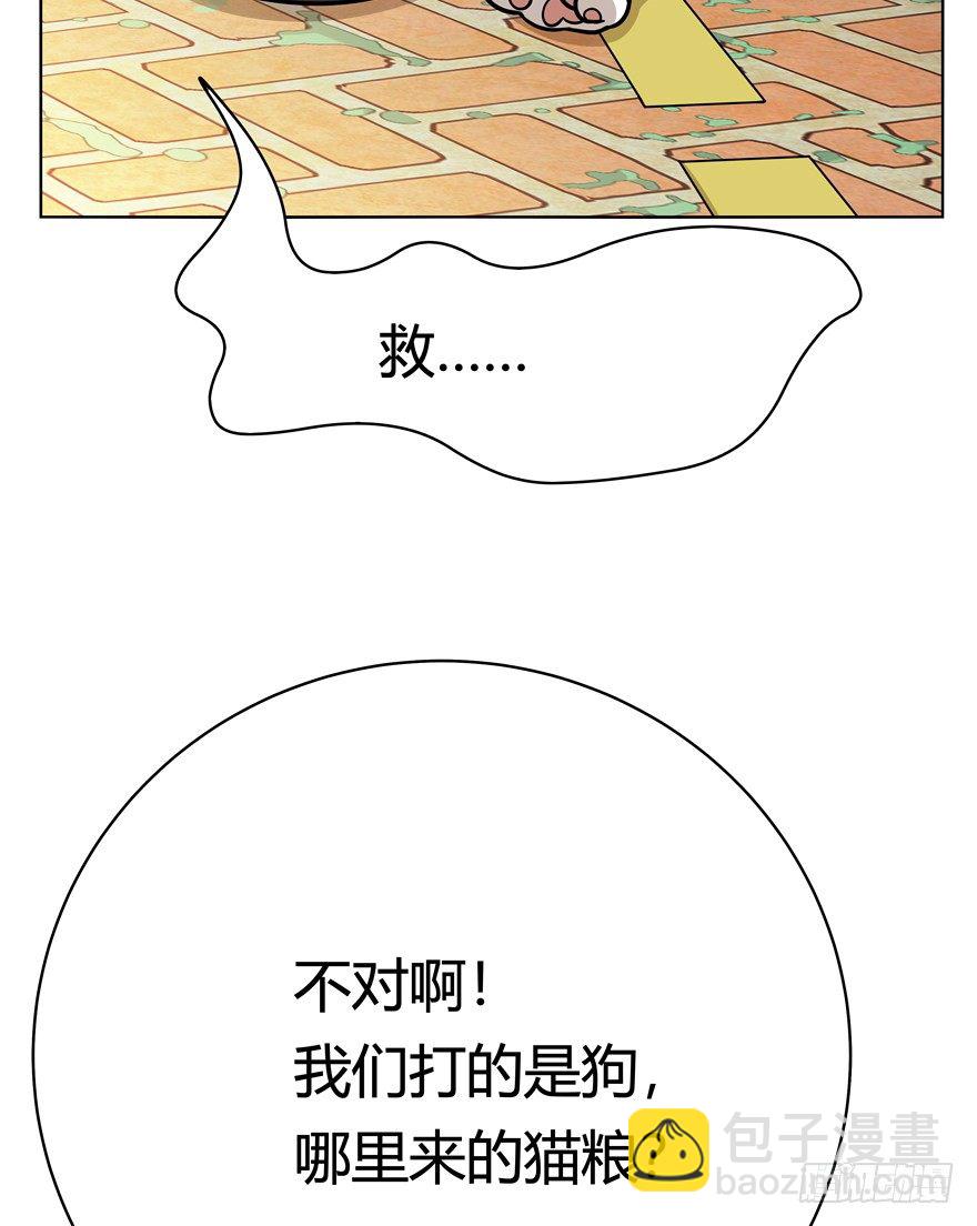 《回到过去变成猫外传》第40爪 外来户（上） 第18页