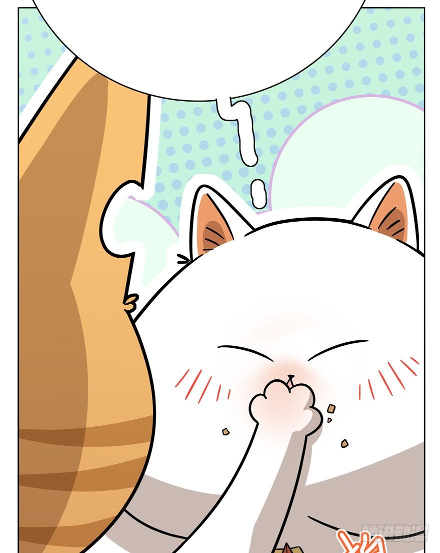 《回到过去变成猫外传》第40爪 外来户（上） 第19页