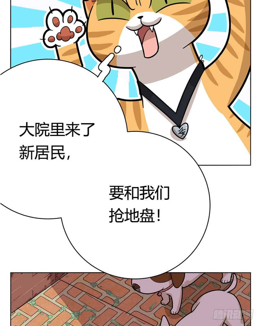 《回到过去变成猫外传》第40爪 外来户（上） 第25页