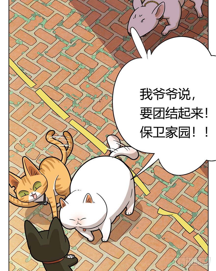 《回到过去变成猫外传》第40爪 外来户（上） 第26页
