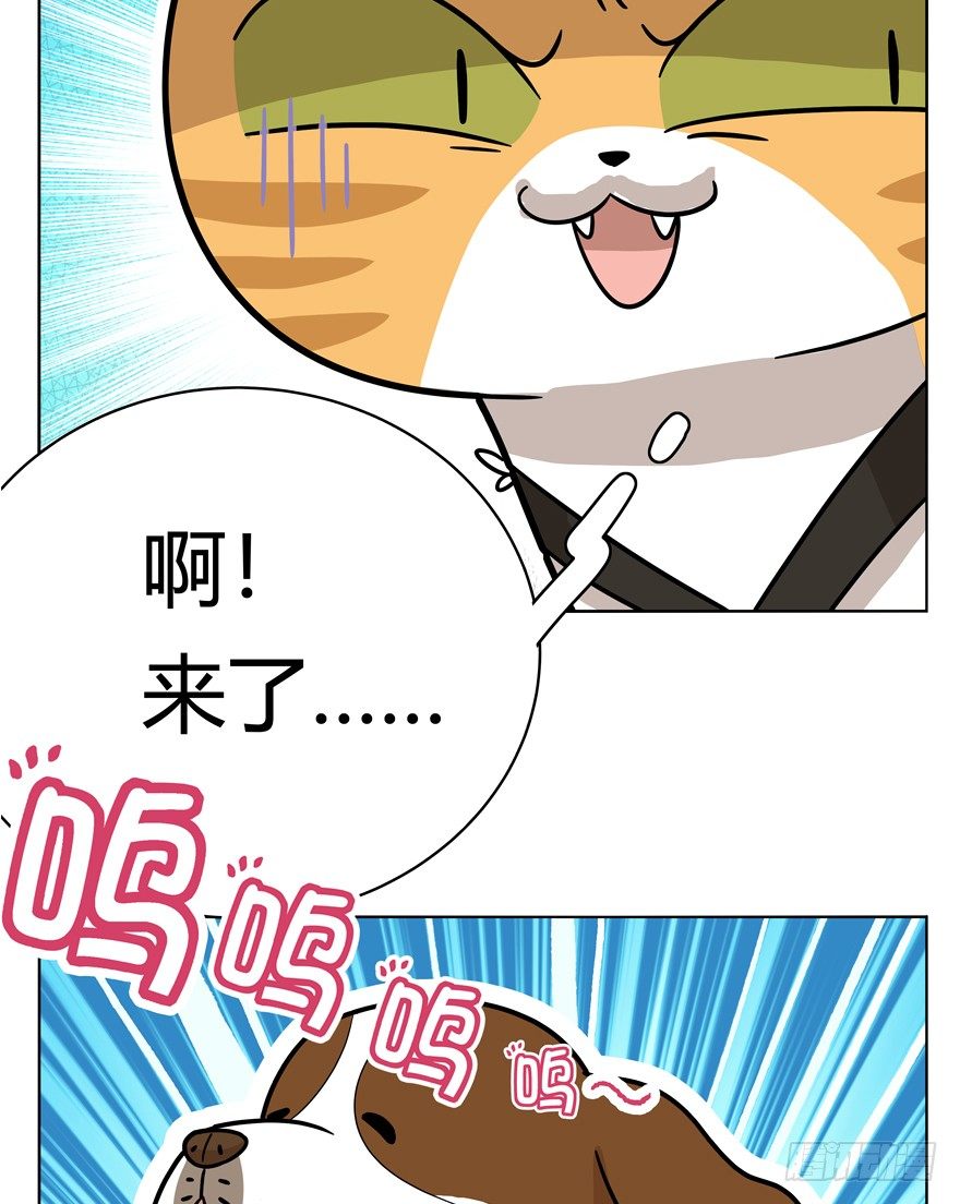 《回到过去变成猫外传》第40爪 外来户（上） 第28页