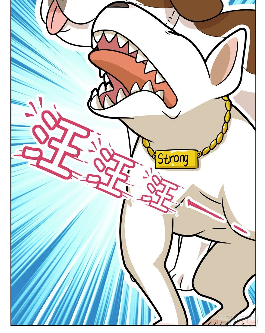 《回到过去变成猫外传》第40爪 外来户（上） 第29页