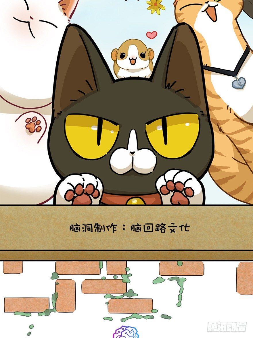 《回到过去变成猫外传》第40爪 外来户（上） 第2页
