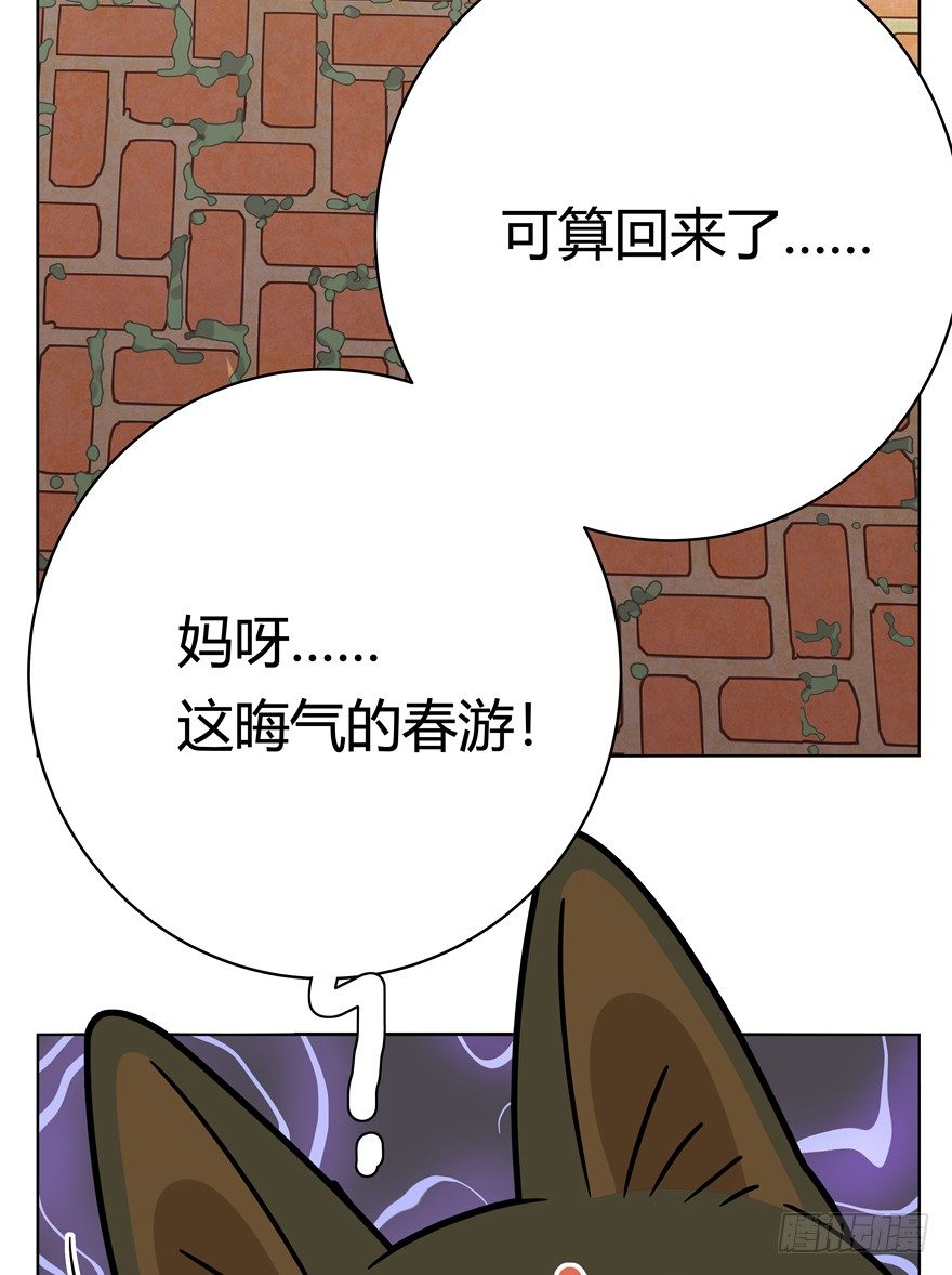 《回到过去变成猫外传》第40爪 外来户（上） 第5页