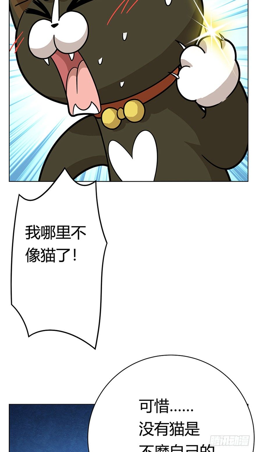 《回到过去变成猫外传》第37爪 身份被拆穿（下） 第10页