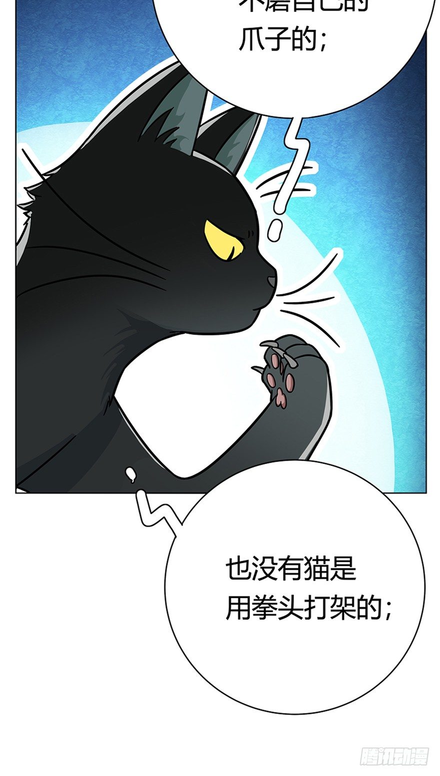 《回到过去变成猫外传》第37爪 身份被拆穿（下） 第11页